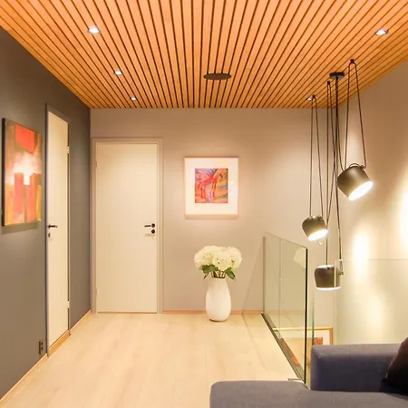 فيلة High Standard Rowhouse ترومسو